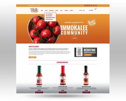 web development in naples