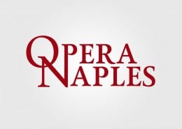 logo design company naples