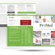 brochure designers naples